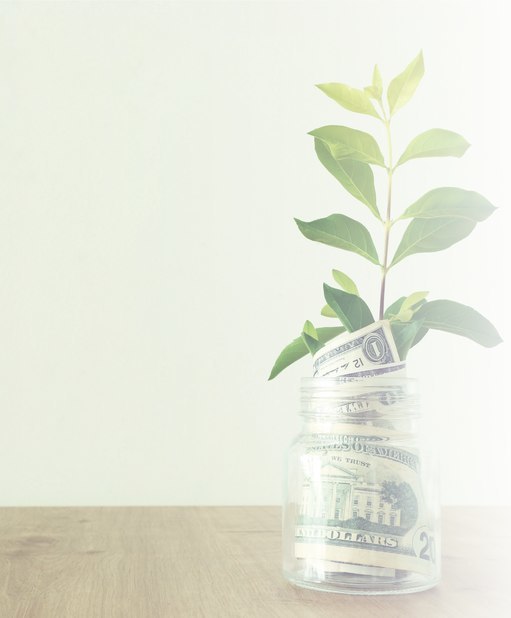A glass jar filled with U.S. dollar bills sits on a wooden surface, with a small green plant growing out of it, symbolizing financial growth and investment.