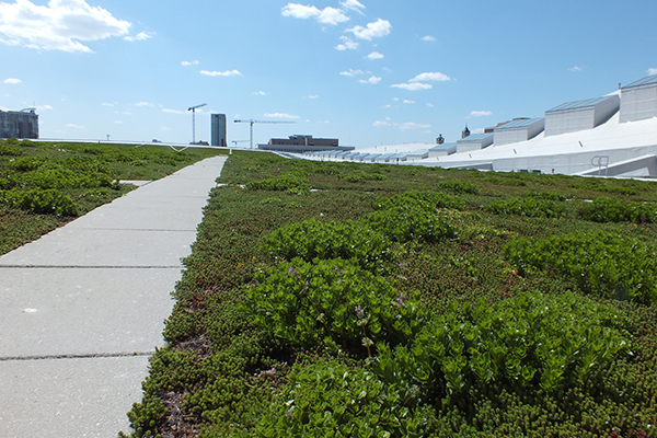 A green roof