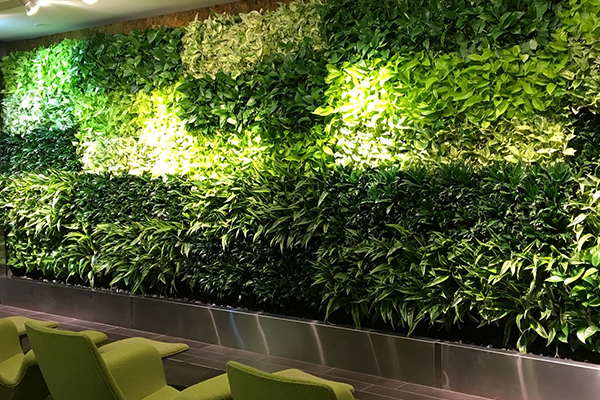 green walls