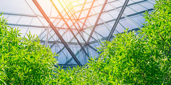 Green space in front of an office building