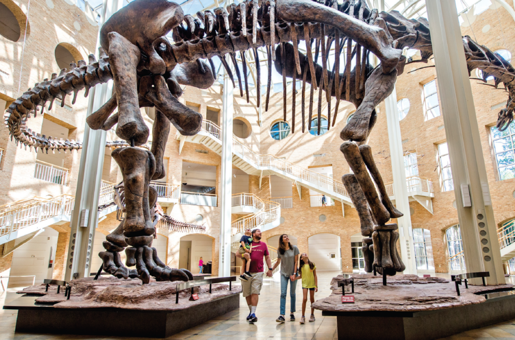 A family of four stands beneath a large dinosaur skeleton on display in a bright museum atrium with tall windows and brick walls.